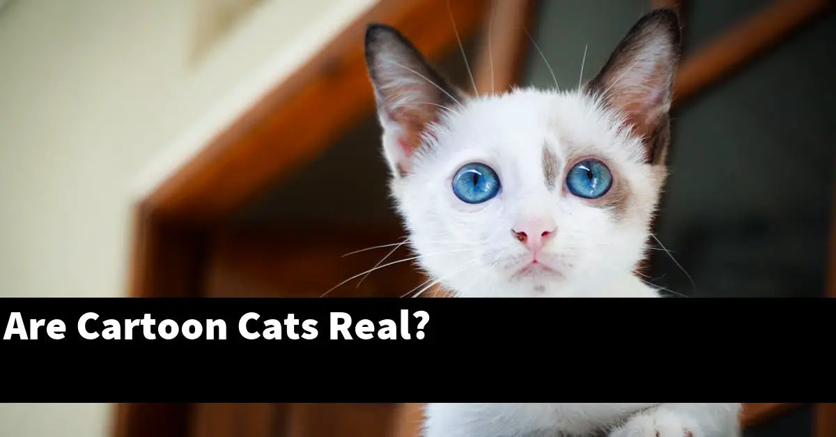 Are Cartoon Cats Real?