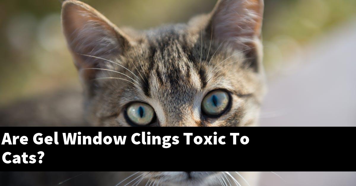 Are Gel Window Clings Toxic To Cats?