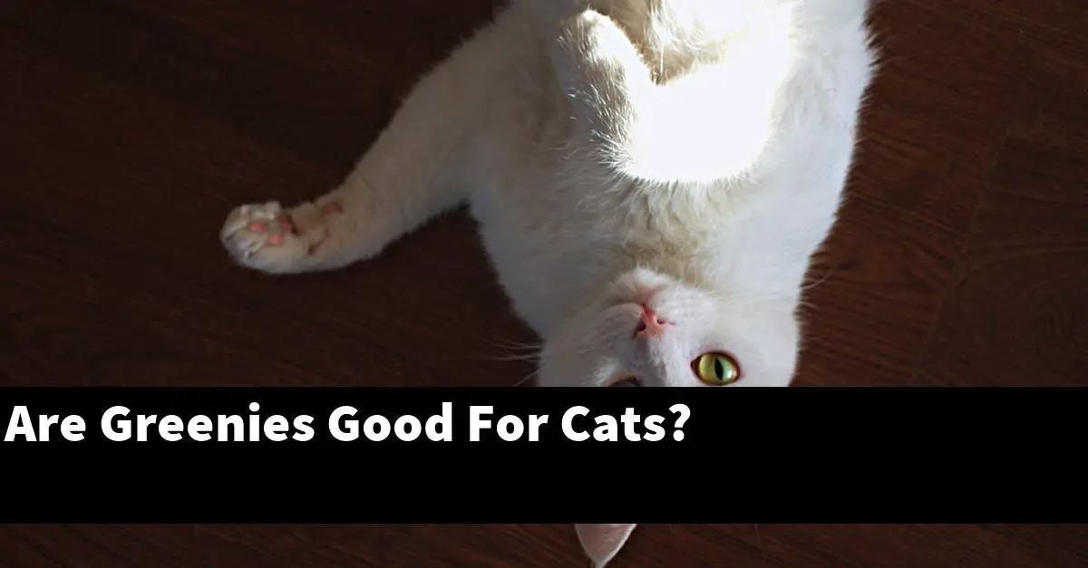 Are Greenies Good For Cats?