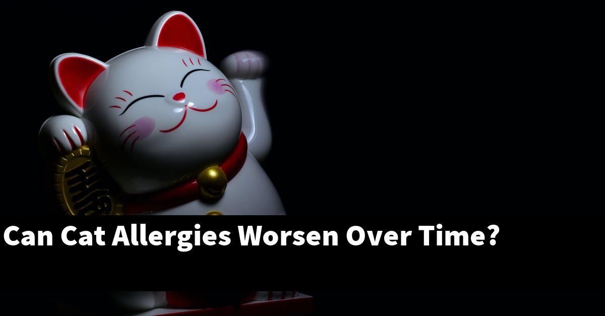 Can Cat Allergies Worsen Over Time?