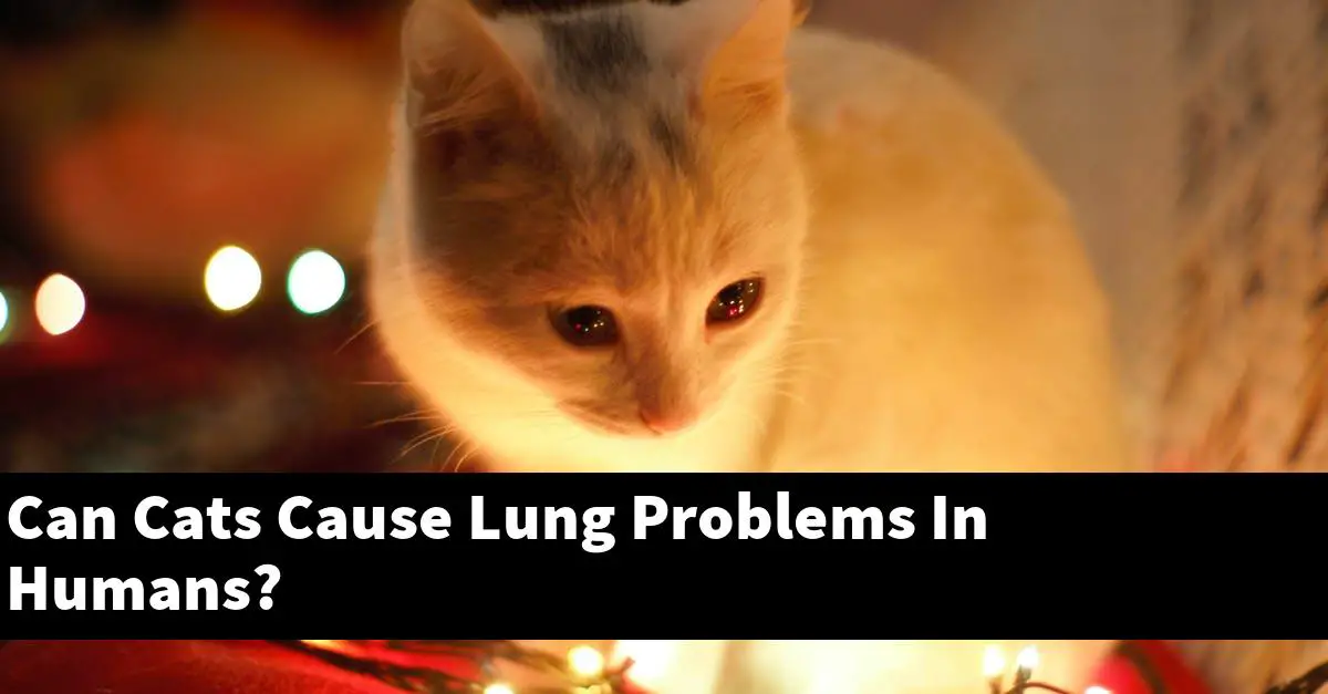Can Cats Cause Lung Problems In Humans?