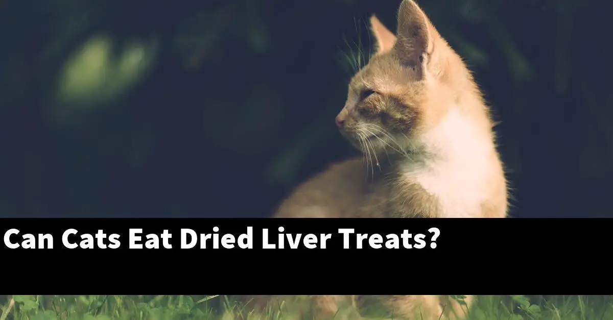 Can Cats Eat Dried Liver Treats?
