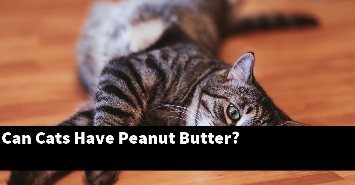 Can Cats Have Peanut Butter?
