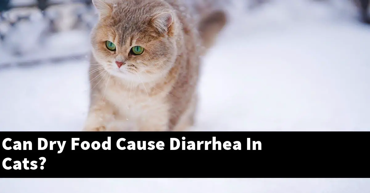 Can Dry Food Cause Diarrhea In Cats?