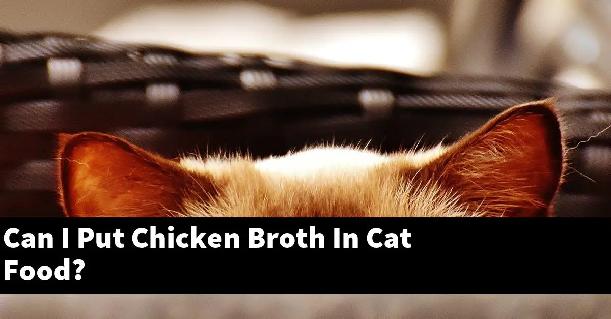 Can I Put Chicken Broth In Cat Food?