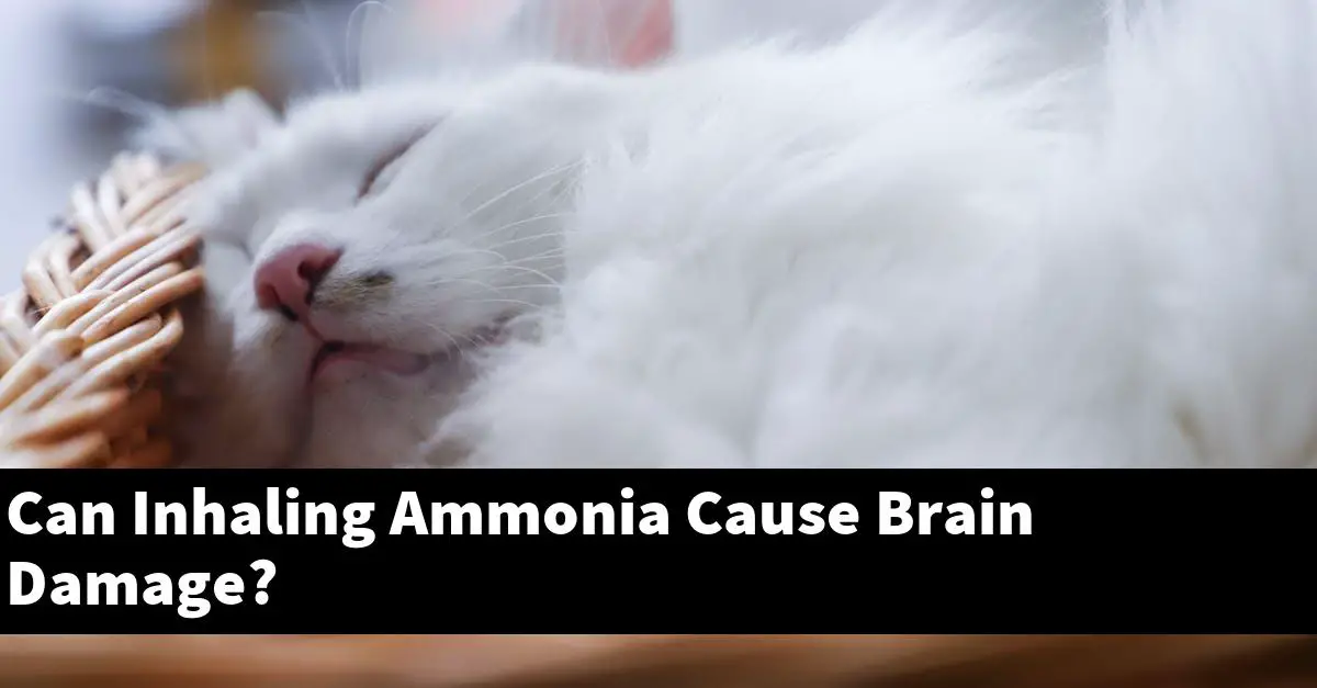 Can Inhaling Ammonia Cause Brain Damage?