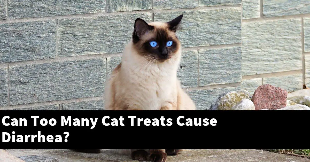 Can Too Many Cat Treats Cause Diarrhea?