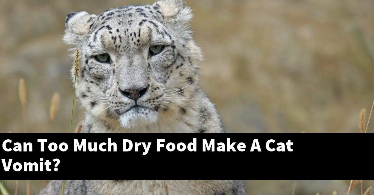 Can Too Much Dry Food Make A Cat Vomit?