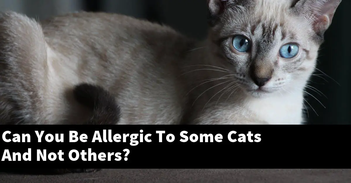 Can You Be Allergic To Some Cats And Not Others?