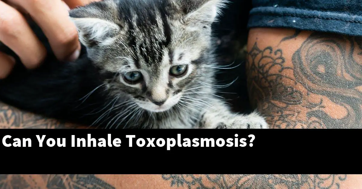 Can You Inhale Toxoplasmosis?