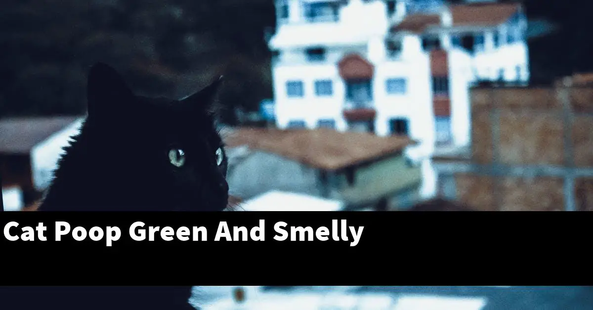Cat Poop Green And Smelly