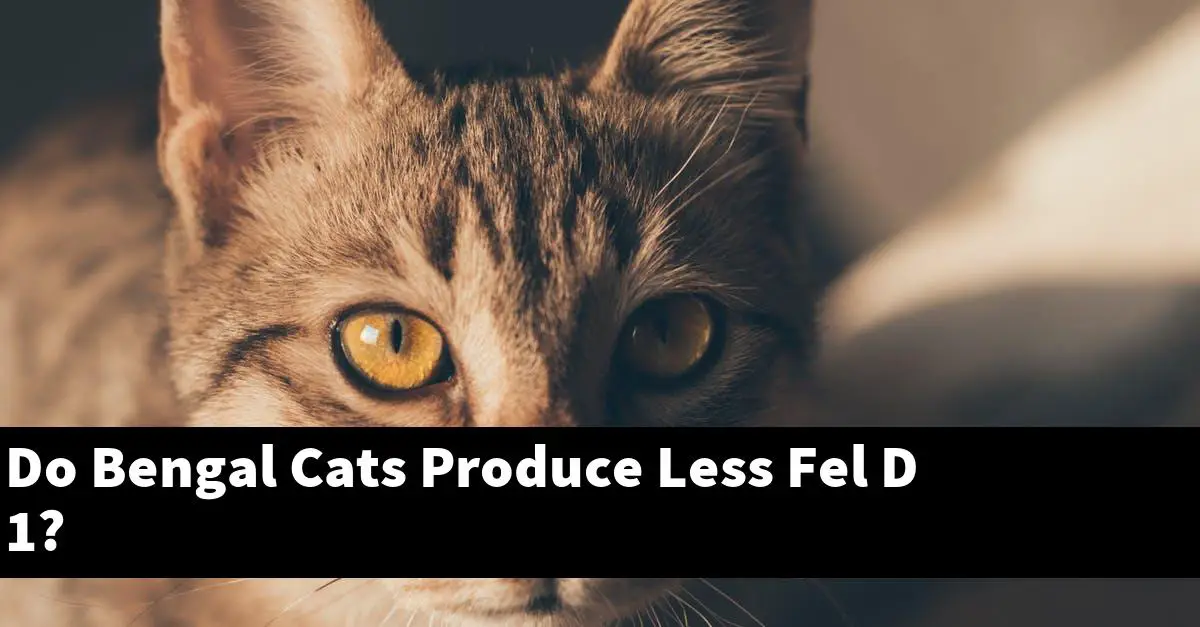 Do Bengal Cats Produce Less Fel D 1?