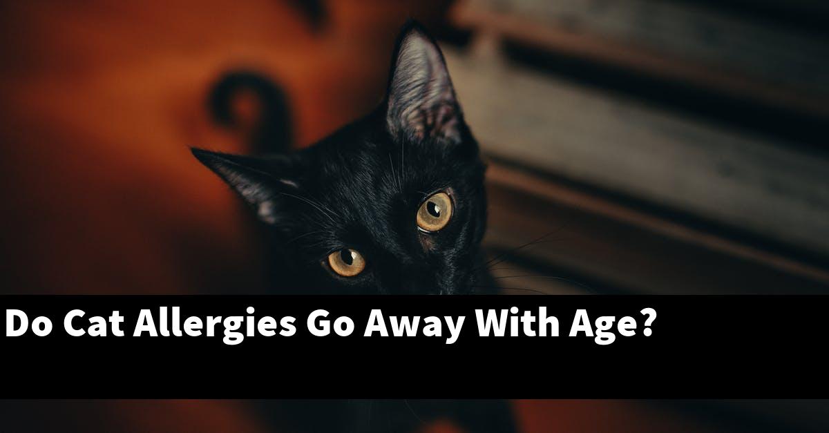 Do Cat Allergies Go Away With Age?