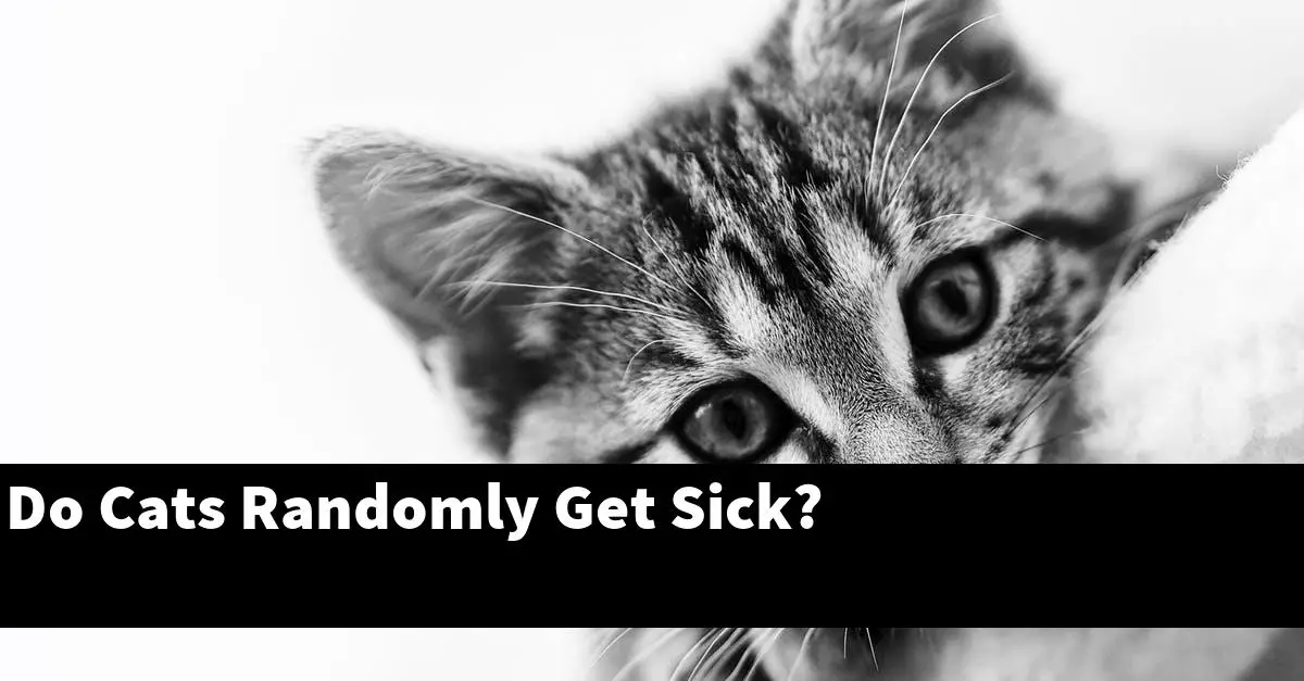 Do Cats Randomly Get Sick?