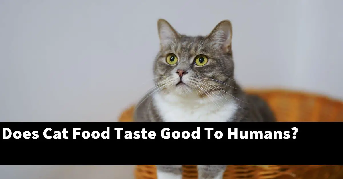 Does Cat Food Taste Good To Humans?