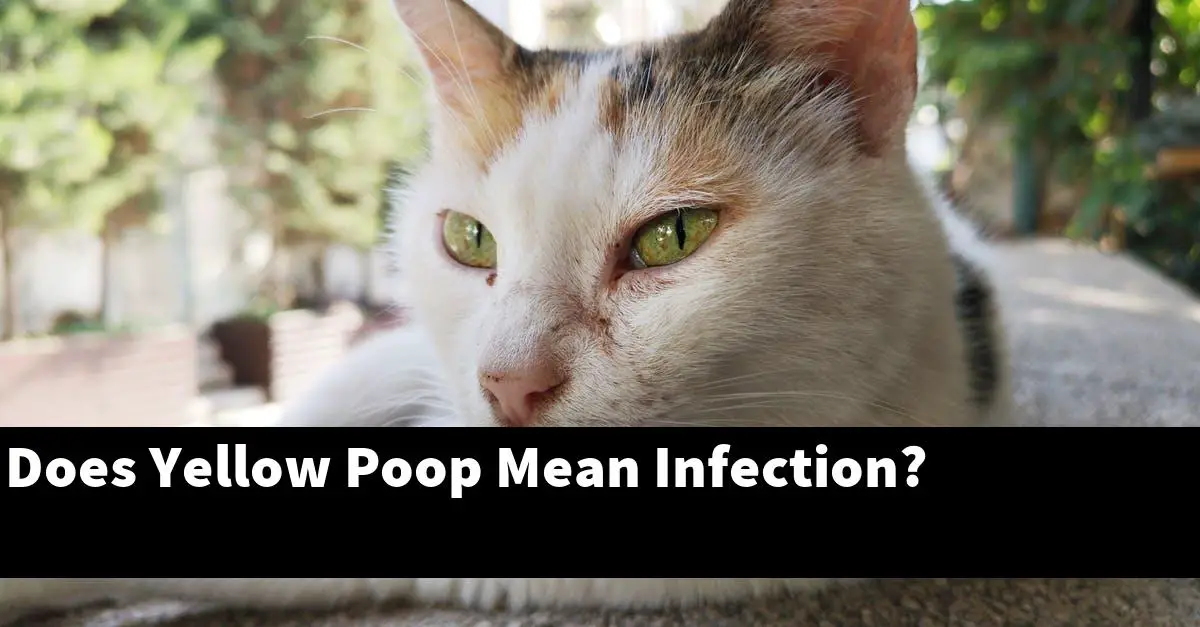Does Yellow Poop Mean Infection?