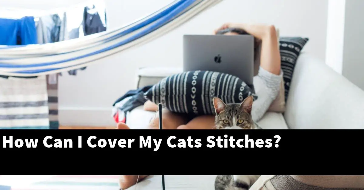How Can I Cover My Cats Stitches?