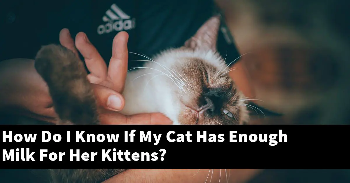 How Do I Know If My Cat Has Enough Milk For Her Kittens?