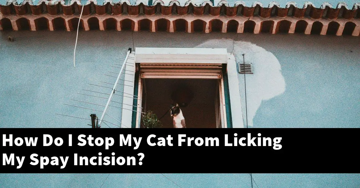 How Do I Stop My Cat From Licking My Spay Incision?