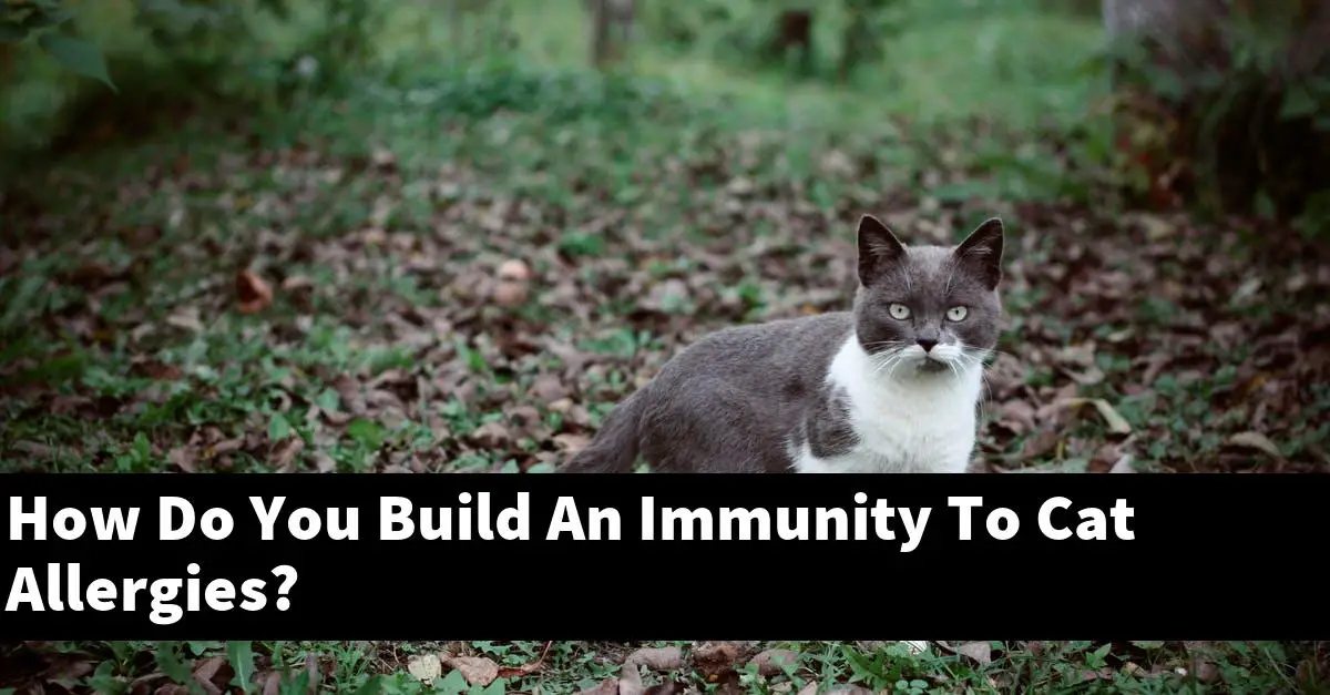 How Do You Build An Immunity To Cat Allergies?