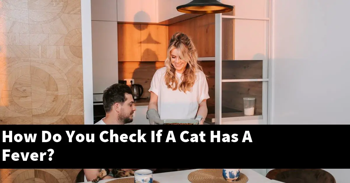 How Do You Check If A Cat Has A Fever?