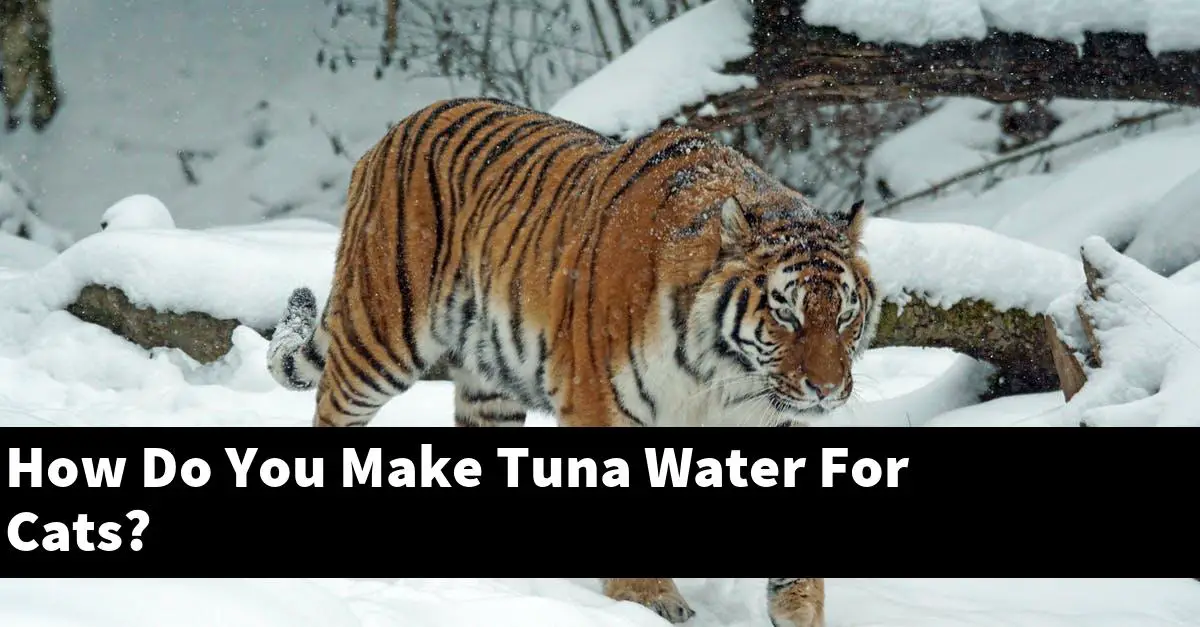 How Do You Make Tuna Water For Cats?