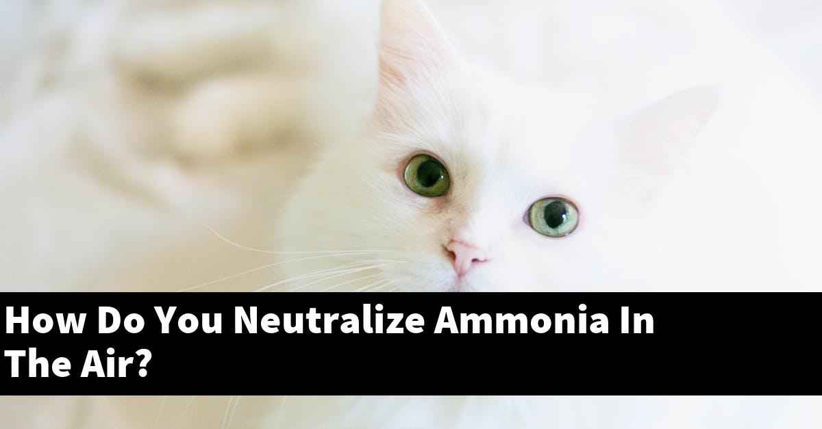 How Do You Neutralize Ammonia In The Air?
