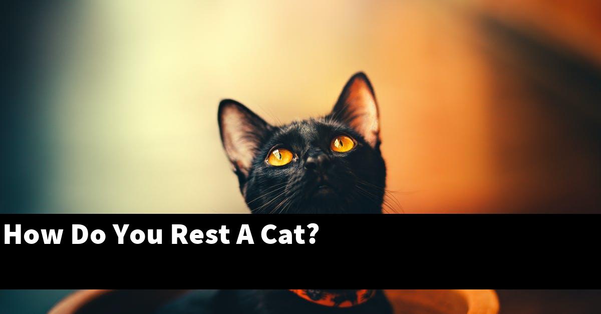 How Do You Rest A Cat?