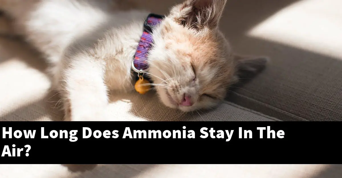 How Long Does Ammonia Stay In The Air?