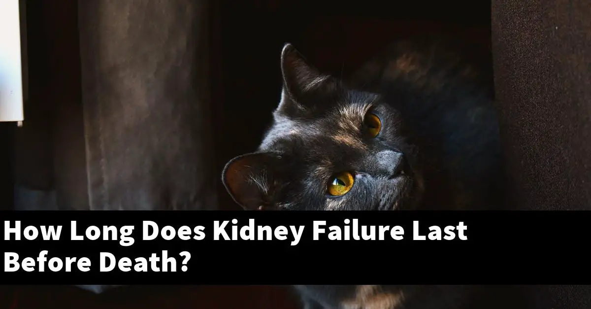 How Long Does Kidney Failure Last Before Death?