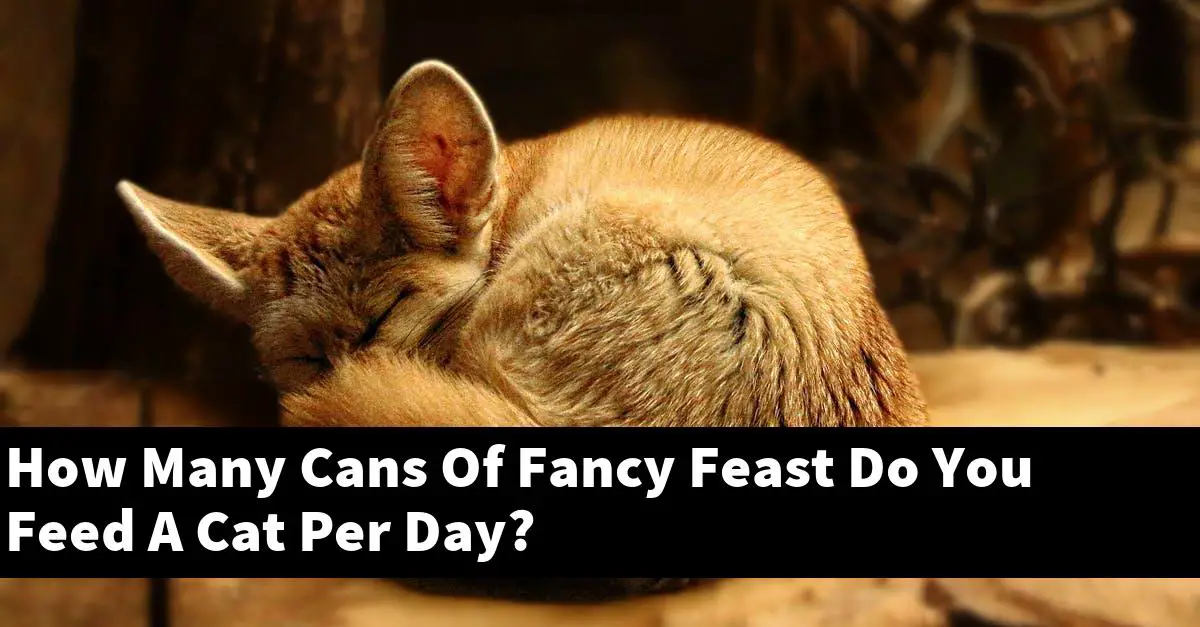 How Many Cans Of Fancy Feast Do You Feed A Cat Per Day?
