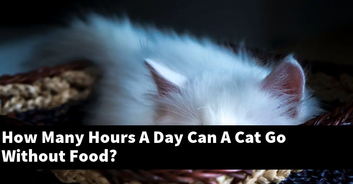 How Many Hours A Day Can A Cat Go Without Food?