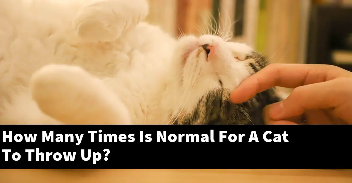 How Many Times Is Normal For A Cat To Throw Up?