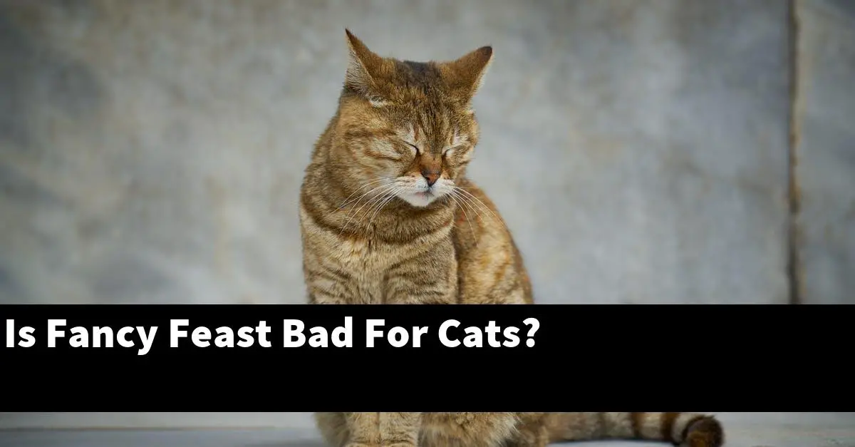 Is Fancy Feast Bad For Cats?