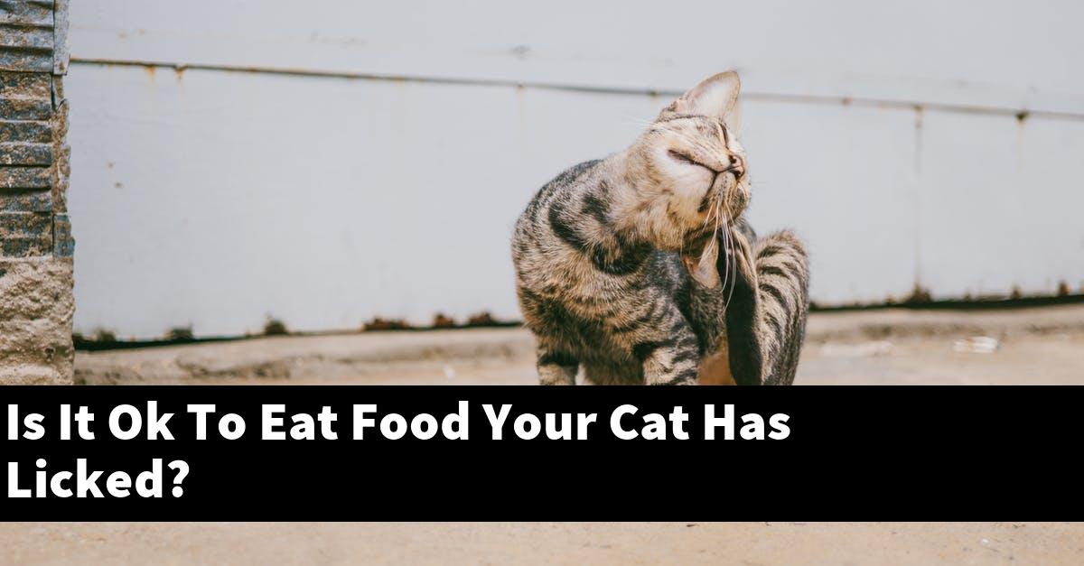 Is It Ok To Eat Food Your Cat Has Licked?