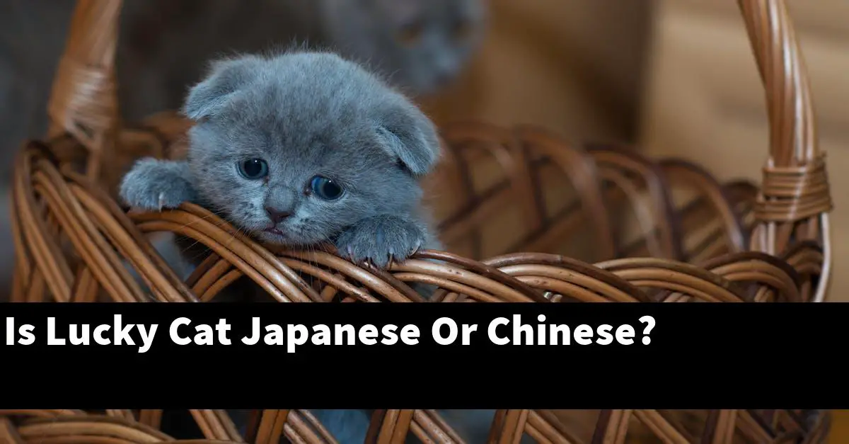 Is Lucky Cat Japanese Or Chinese?