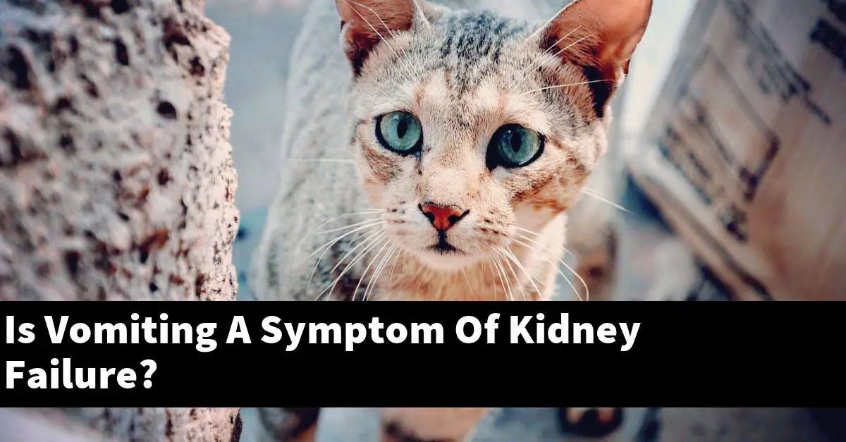 Is Vomiting A Symptom Of Kidney Failure?