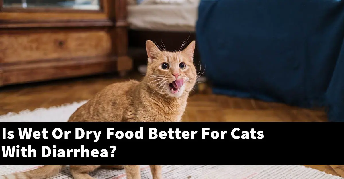 Is Wet Or Dry Food Better For Cats With Diarrhea?
