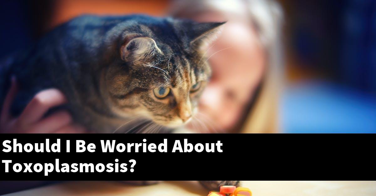 Should I Be Worried About Toxoplasmosis?