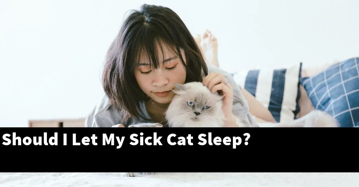 Should I Let My Sick Cat Sleep?