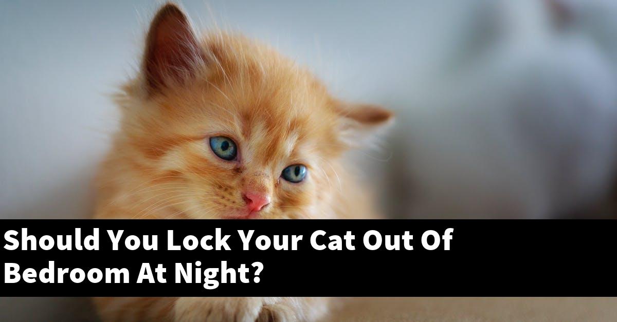 Should You Lock Your Cat Out Of Bedroom At Night?