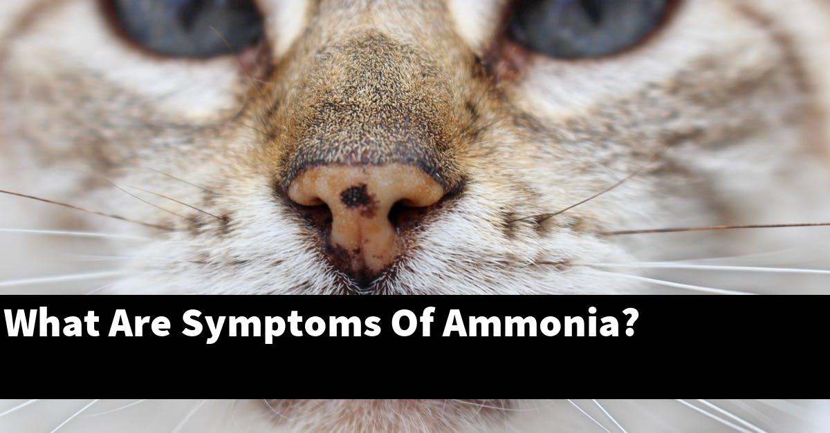 What Are Symptoms Of Ammonia?
