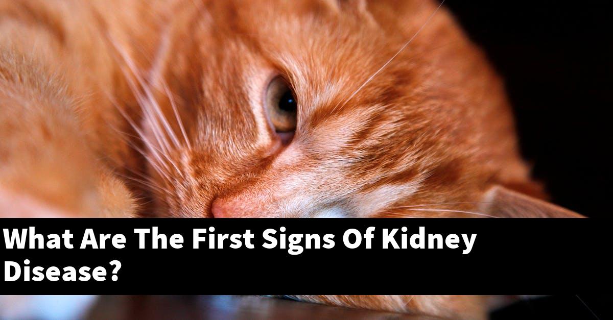 What Are The First Signs Of Kidney Disease?