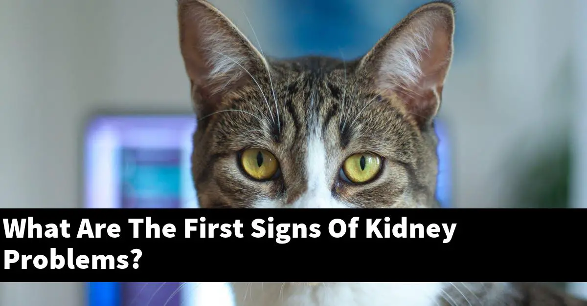 What Are The First Signs Of Kidney Problems?