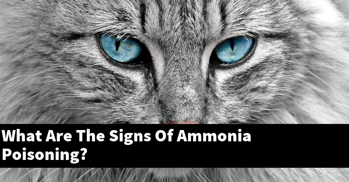 What Are The Signs Of Ammonia Poisoning?