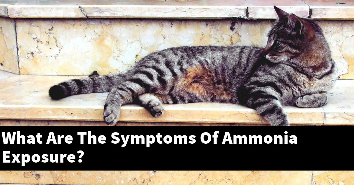 What Are The Symptoms Of Ammonia Exposure?