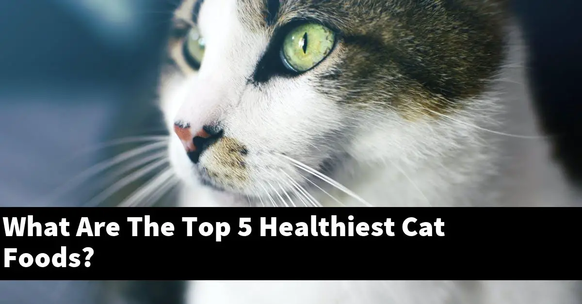 What Are The Top 5 Healthiest Cat Foods?