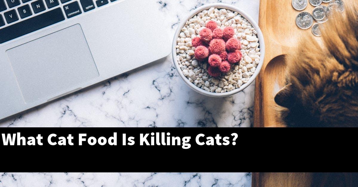 What Cat Food Is Killing Cats?