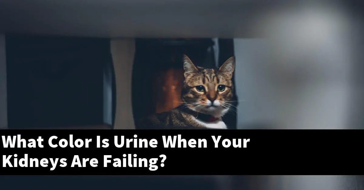 What Color Is Urine When Your Kidneys Are Failing?