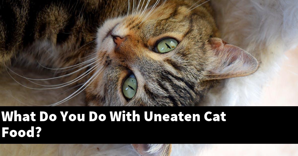 What Do You Do With Uneaten Cat Food?